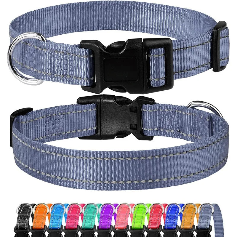 Nylon Dog Collar with Quick-Release Buckle