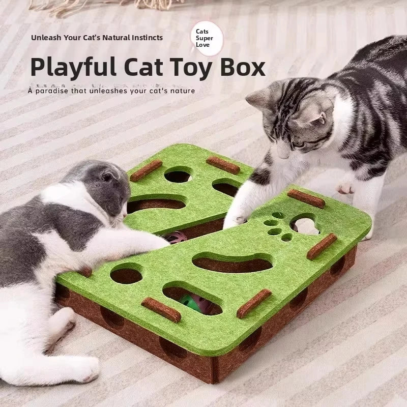 Felt Puzzle Box Cat Toy with Ball