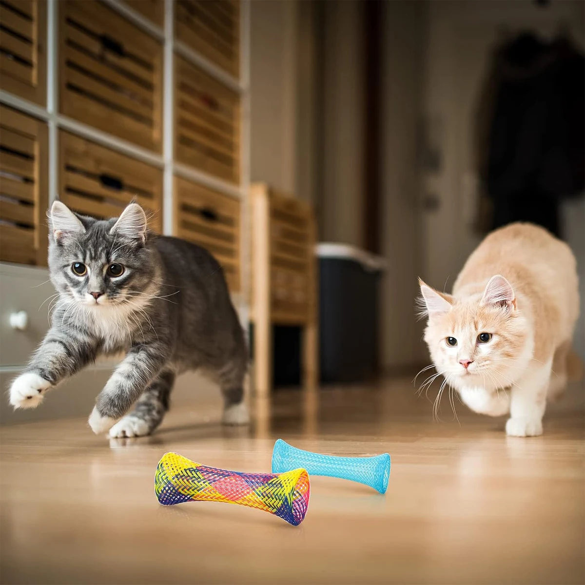 Folding Spring Cat Toys, Pack of 10