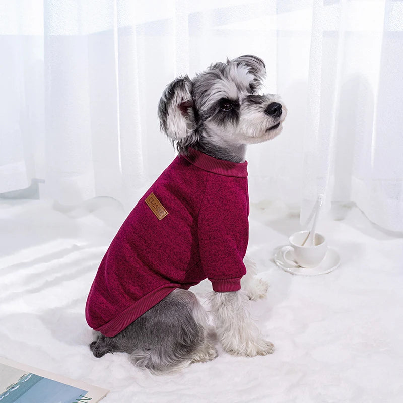 Casual Sweatshirt for Small Dogs