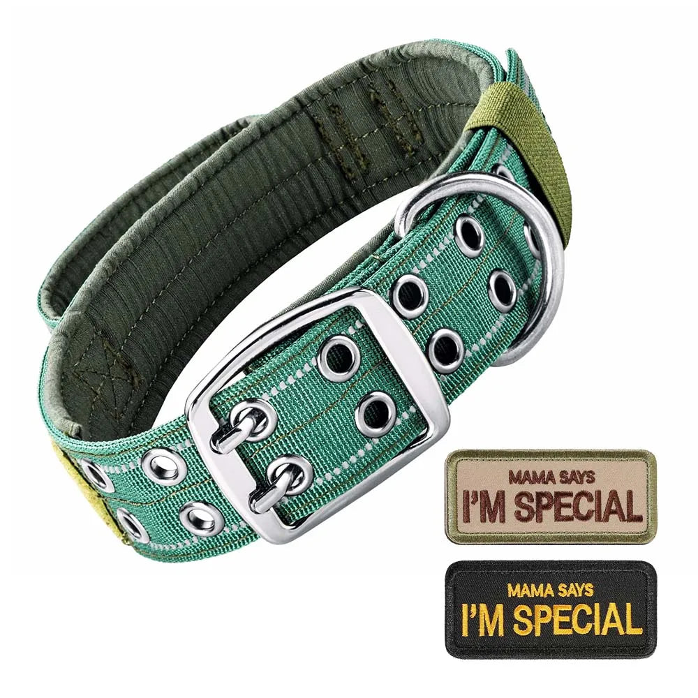 Heavy-Duty Tactical Dog Collar - Green / L