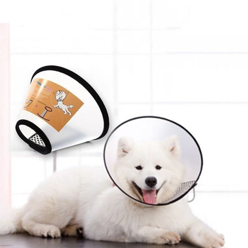 Clear Recovery Cone