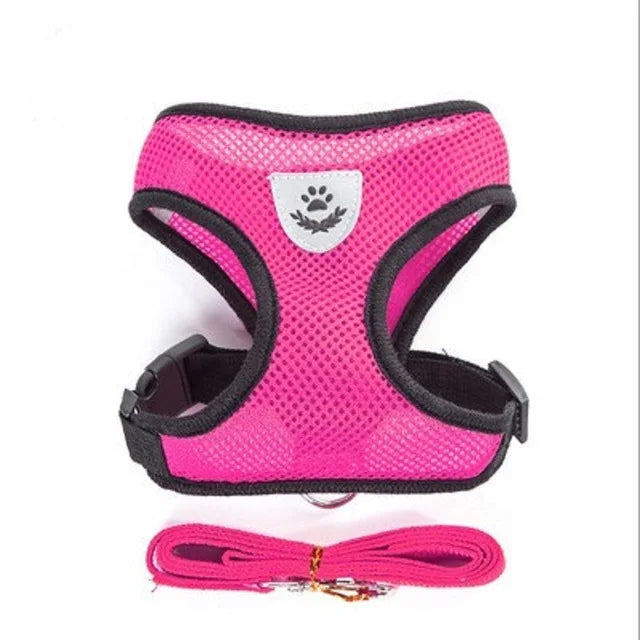 Mesh Vest Harness and Lead Set for Cats and Small Dogs - Rose / S