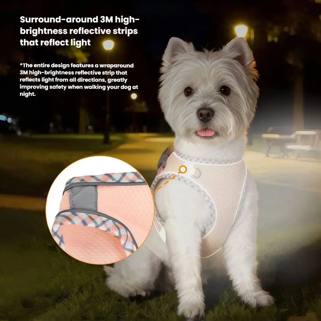 Reflective Mesh Harness and Lead Set