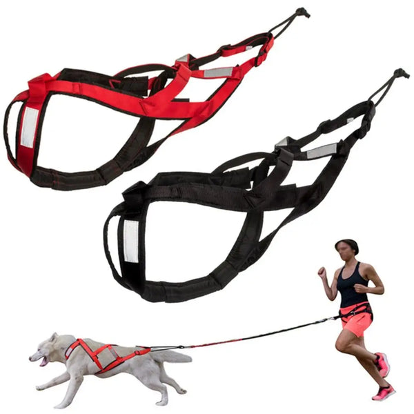 Sled and Canicross Pulling Harness