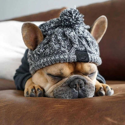 Knitted Bobble Hat for Dogs