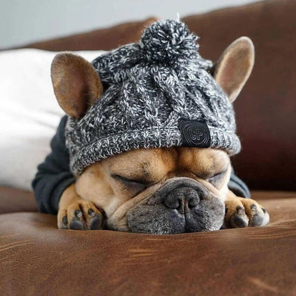 Knitted Bobble Hat for Dogs