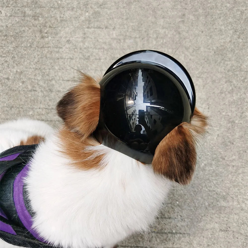 Motorbike-Style Dog Helmet