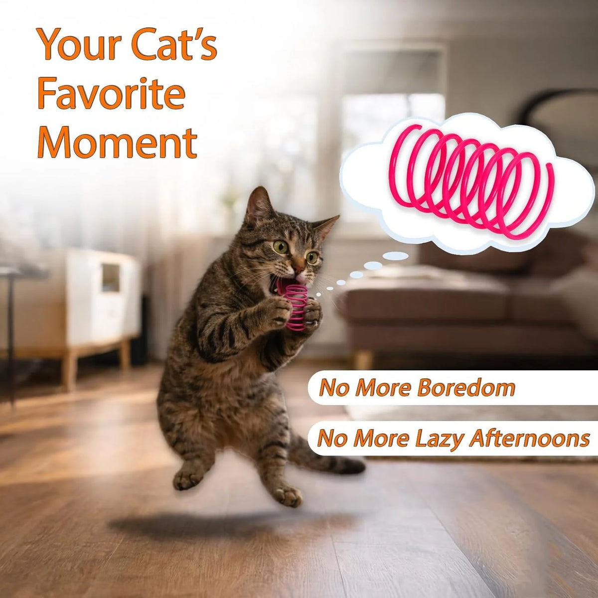 Coil Spring Cat Toys, Pack of 12