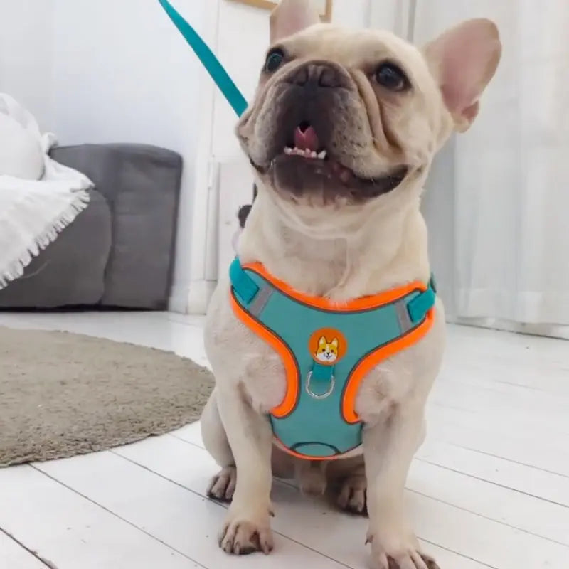 Reflective No-Pull Dog Harness and Lead
