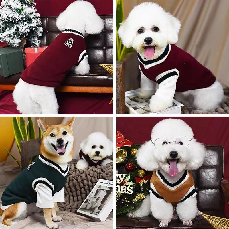 College-Style V-Neck Dog Jumper