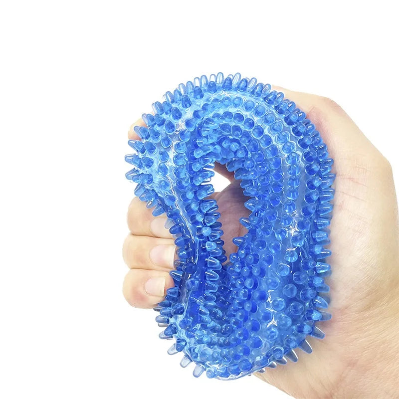 Spiky Ring Squeaky Chew Toy