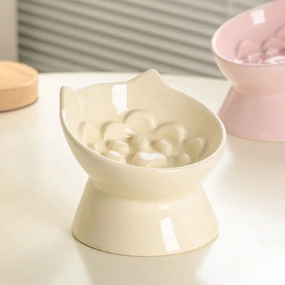Raised Ceramic Slow Feeder Bowl
