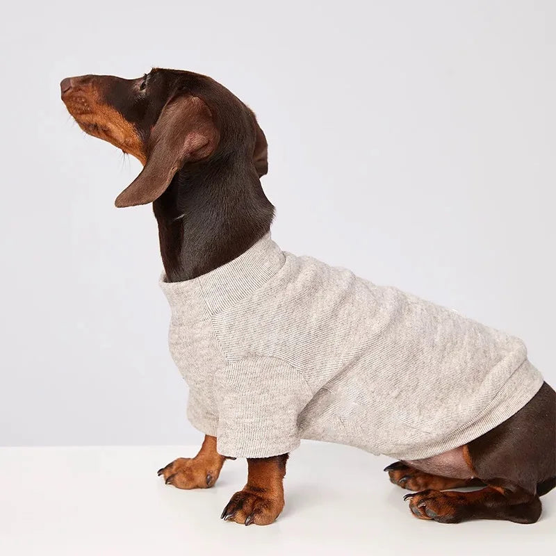 Dachshund Jumper