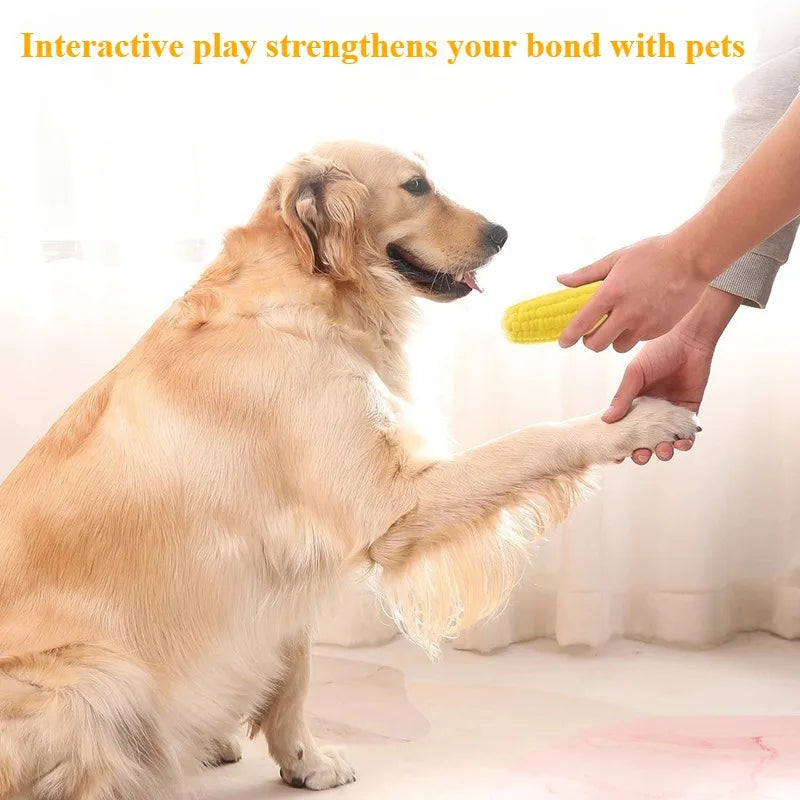 Squeaky Latex Corn Toy