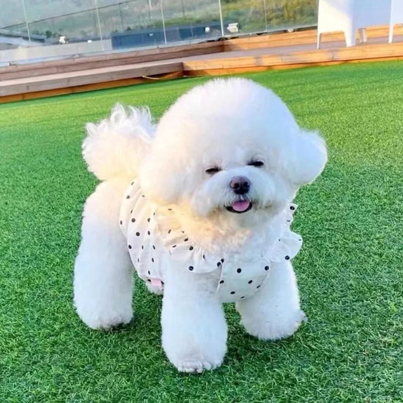 Polka Dot Summer Dress for Small Dogs