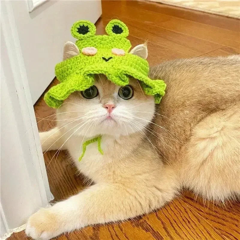 Knitted Hat for Cats and Small Dogs