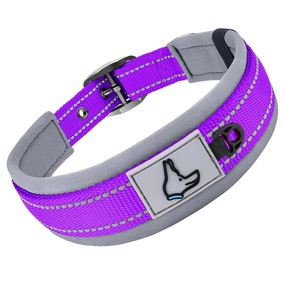 Padded Reflective Dog Collar - Purple / XL