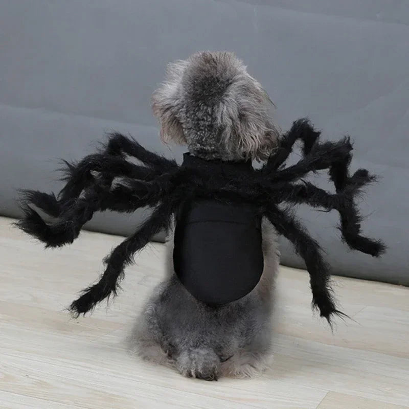 Spider Halloween Costume for Dogs and Cats