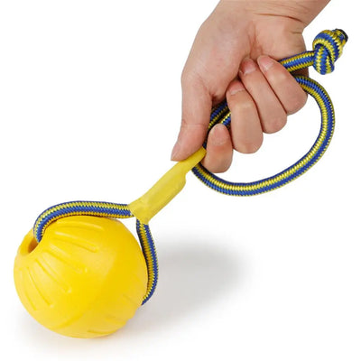 Rubber Ball on a Rope for Dogs
