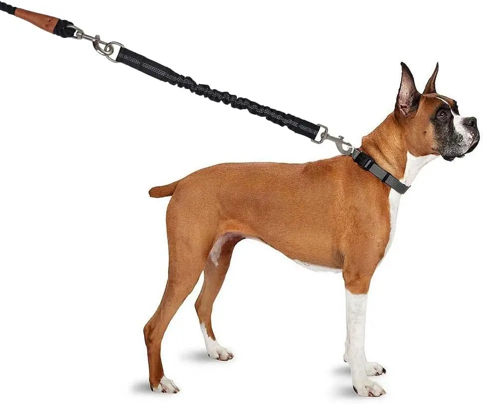 Bungee Lead Extension