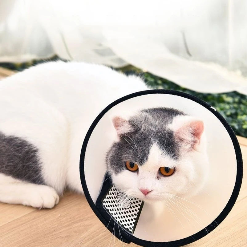 Clear Recovery Cone