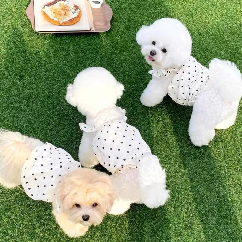 Polka Dot Summer Dress for Small Dogs