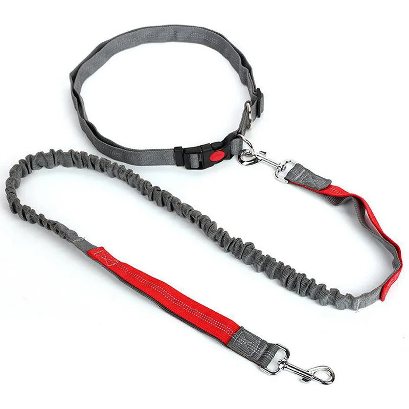 Hands-Free Waist Lead - Grey Red