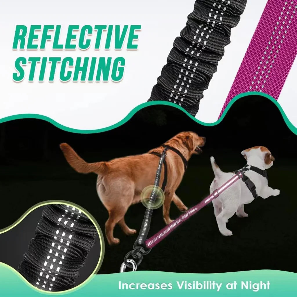 Double Dog Lead Coupler