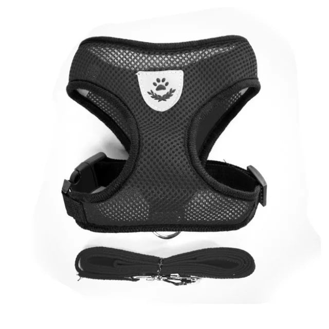 Mesh Vest Harness and Lead Set for Cats and Small Dogs - Black / L
