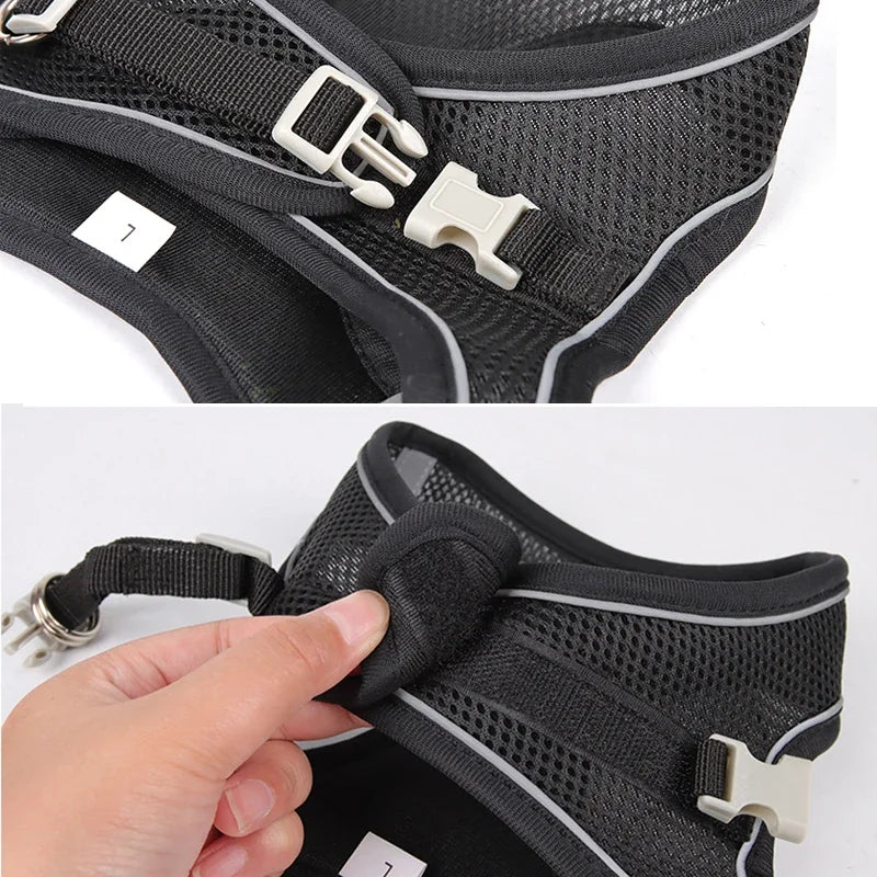Soft Harness and Lead Set for Puppies and Small Dogs