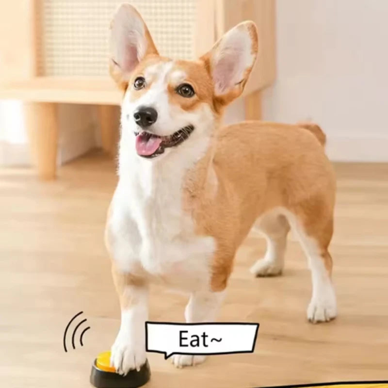 Recordable Talking Button for Dogs