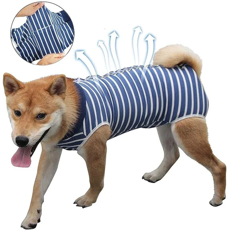 Dog Recovery Suit