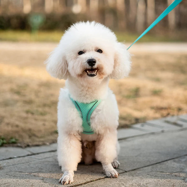 Breathable Escape-Proof Vest Harness