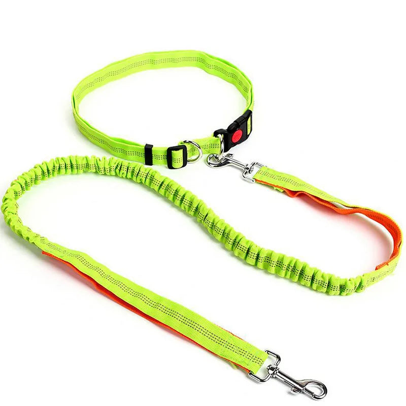 Hands-Free Waist Lead - Green