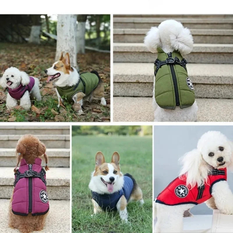 Warm Dog Jacket with Built-In Harness
