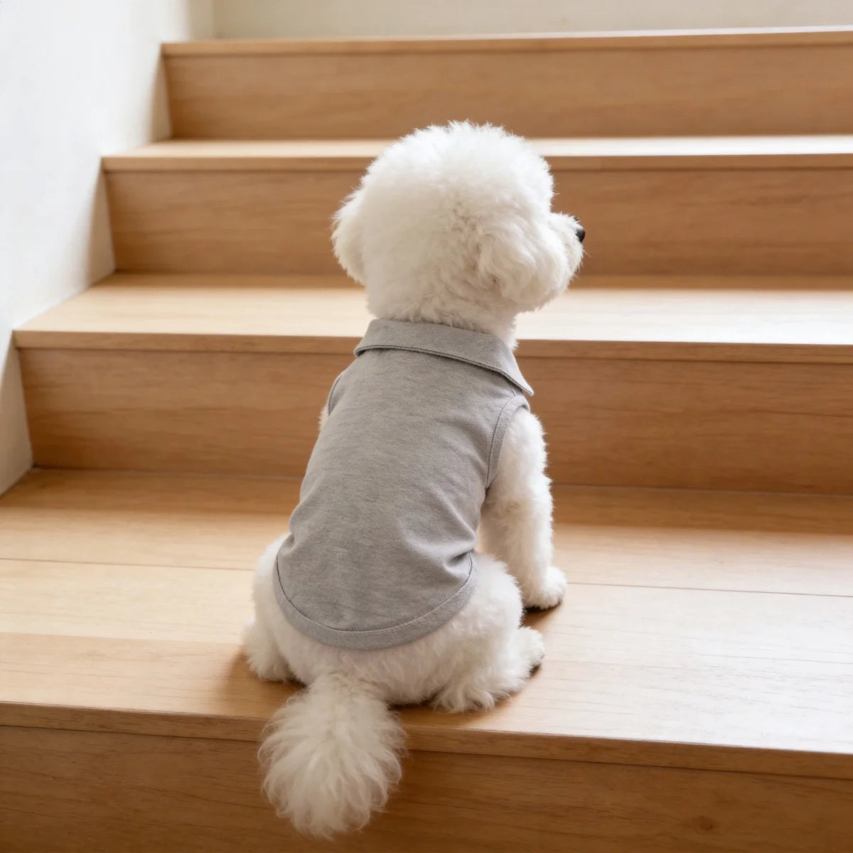 Polo Shirt for Small Dogs