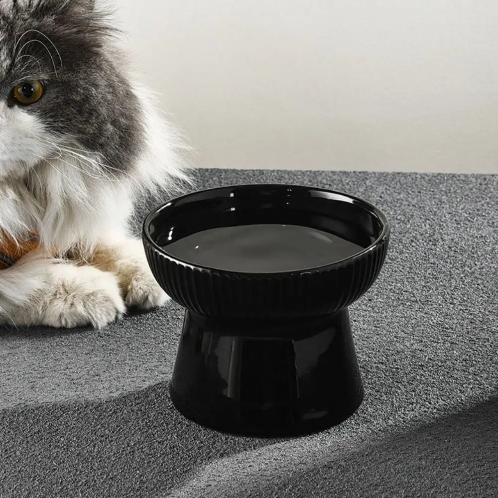 Raised Ceramic Cat Bowl