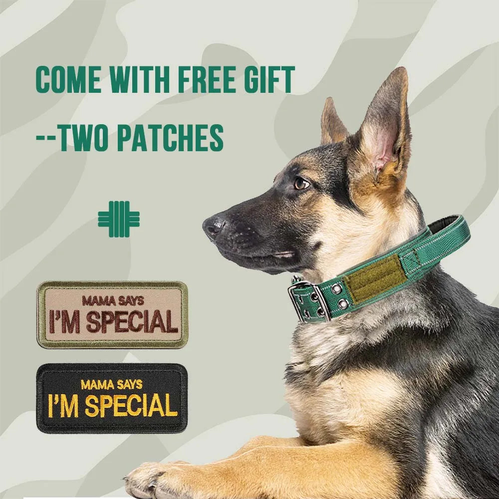 Heavy-Duty Tactical Dog Collar