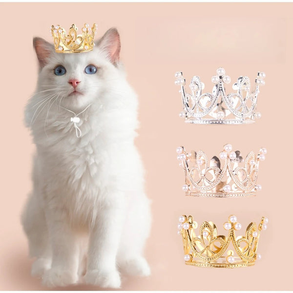 Party Crown for Pets