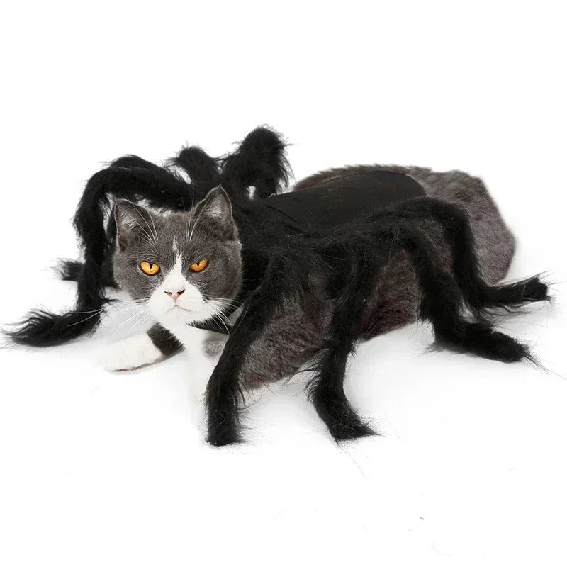 Spider Halloween Costume for Dogs and Cats
