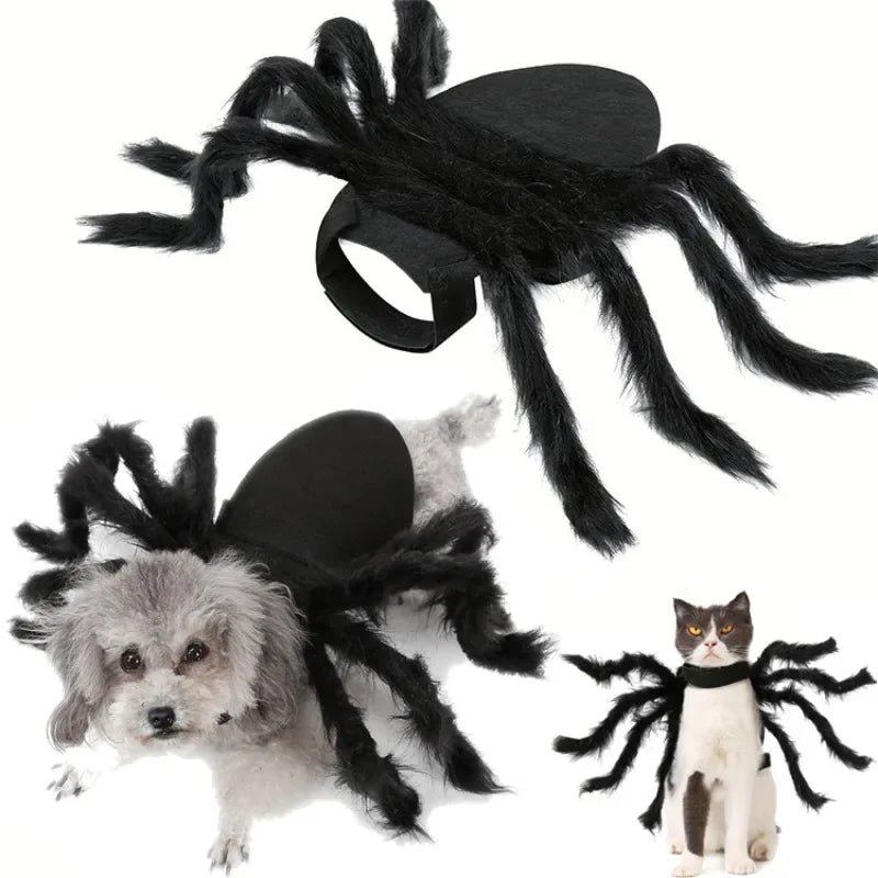 Spider Halloween Costume for Dogs and Cats
