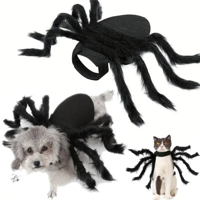 Spider Halloween Costume for Dogs and Cats