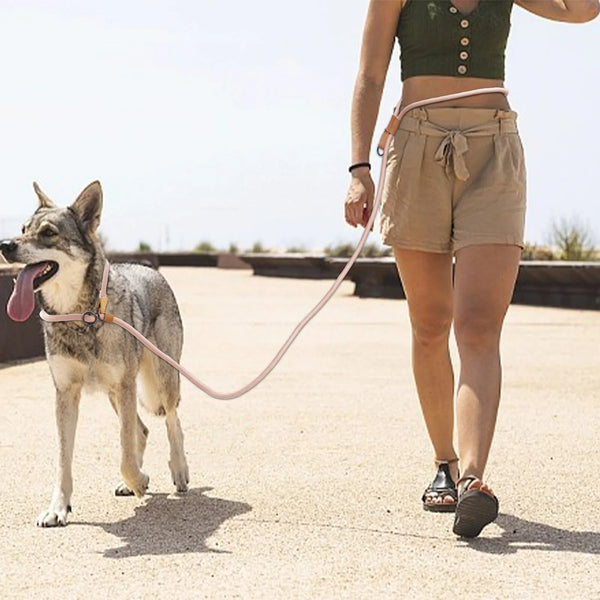 Multi-Use Rope Lead with Leather Trim