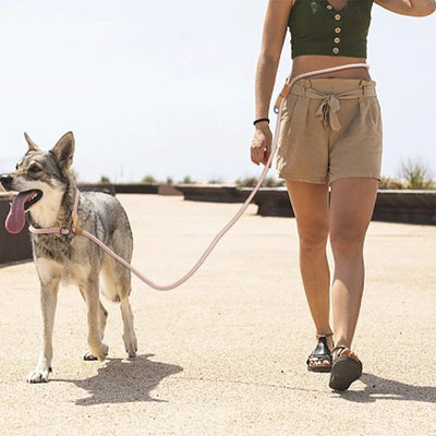Multi-Use Rope Lead with Leather Trim