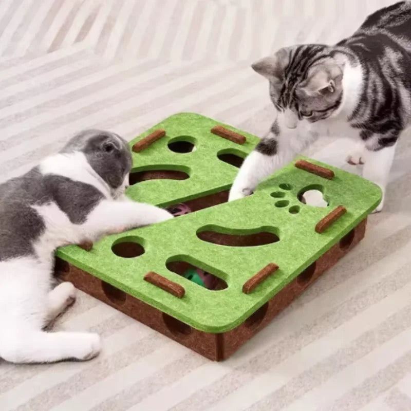 Felt Puzzle Maze Cat Toy with Ball