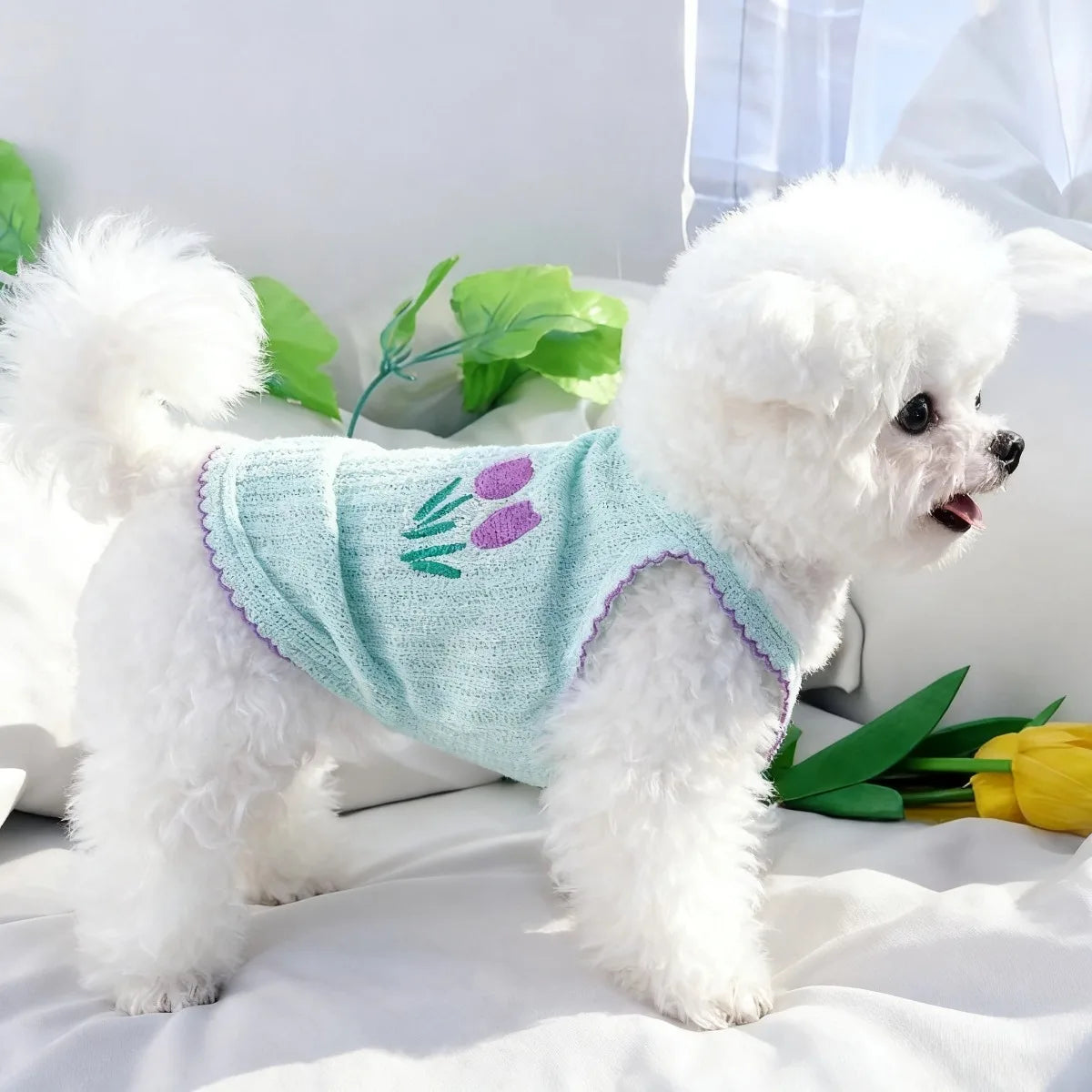 Embroidered Summer Vest for Small Dogs