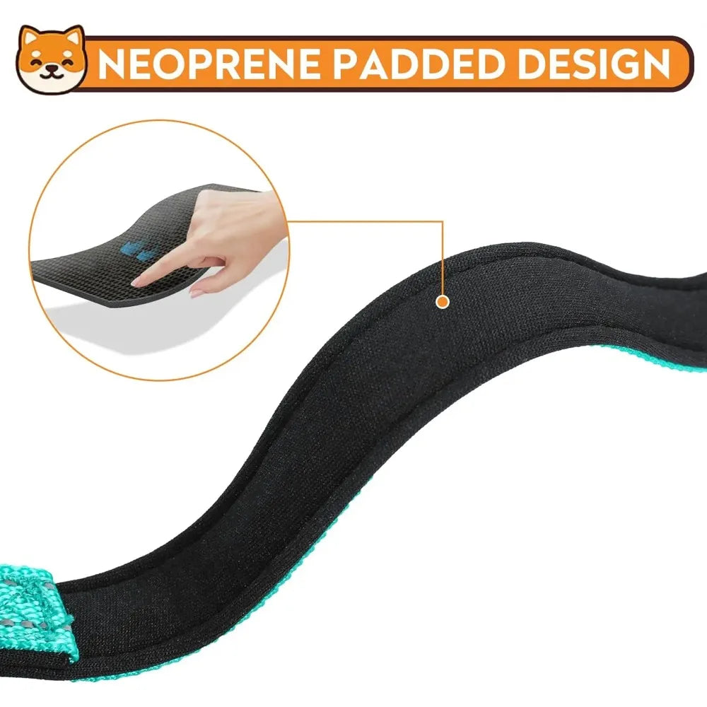 Padded Neoprene Dog Collar