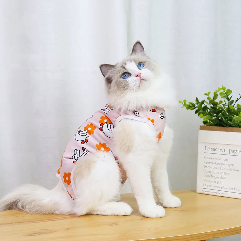 Cat Recovery Suit
