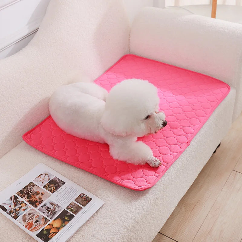 Reusable Washable Pee Pad for Dogs - Rose Red / 50x35 cm